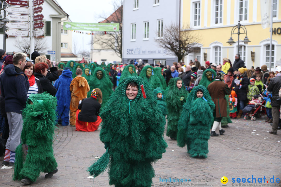 Narrensprung: Langenargen am Bodensee, 19.01.2014