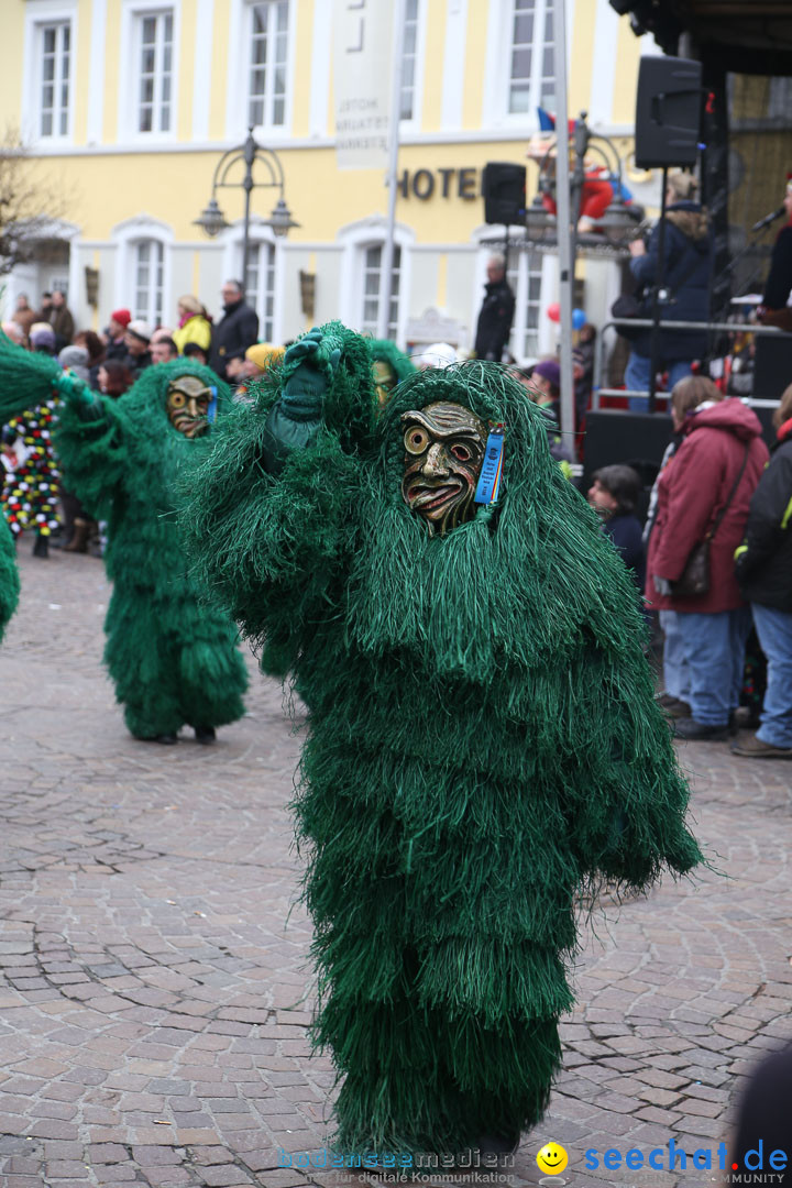 Narrensprung: Langenargen am Bodensee, 19.01.2014