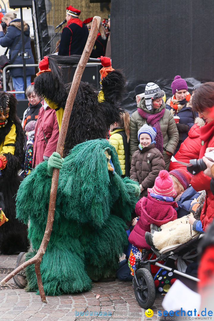 Narrensprung: Langenargen am Bodensee, 19.01.2014