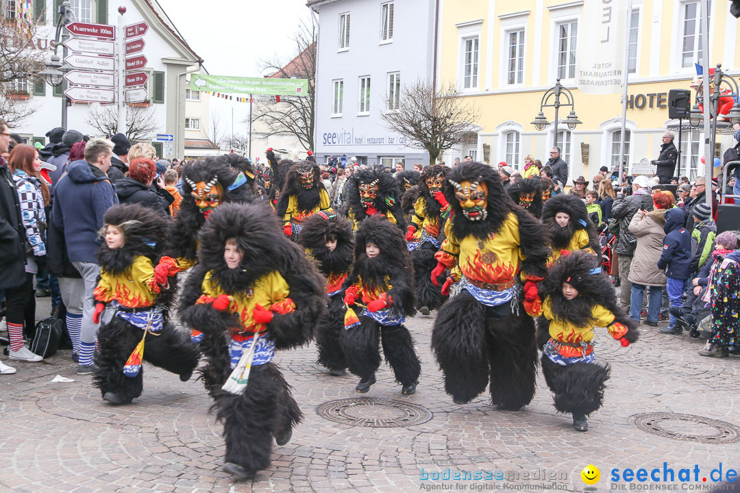 Narrensprung: Langenargen am Bodensee, 19.01.2014