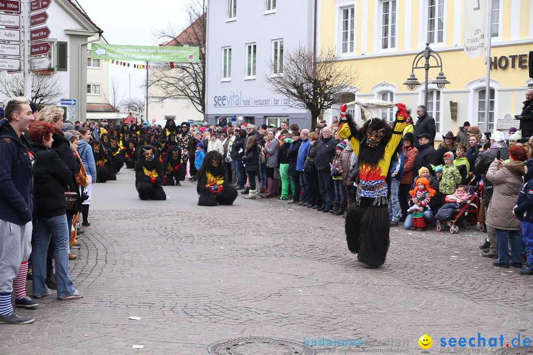 Narrensprung: Langenargen am Bodensee, 19.01.2014