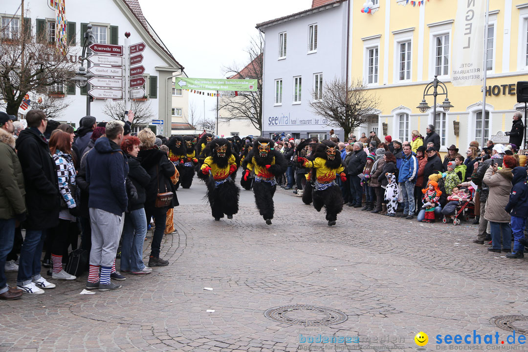 Narrensprung: Langenargen am Bodensee, 19.01.2014