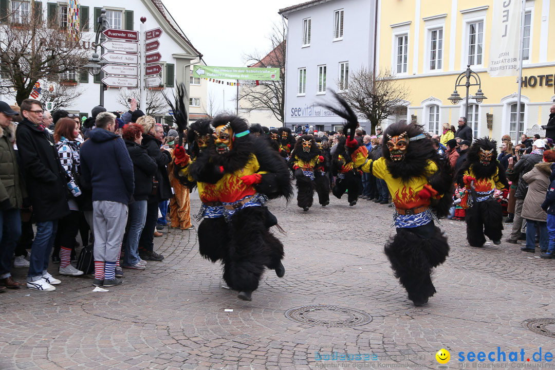 Narrensprung: Langenargen am Bodensee, 19.01.2014