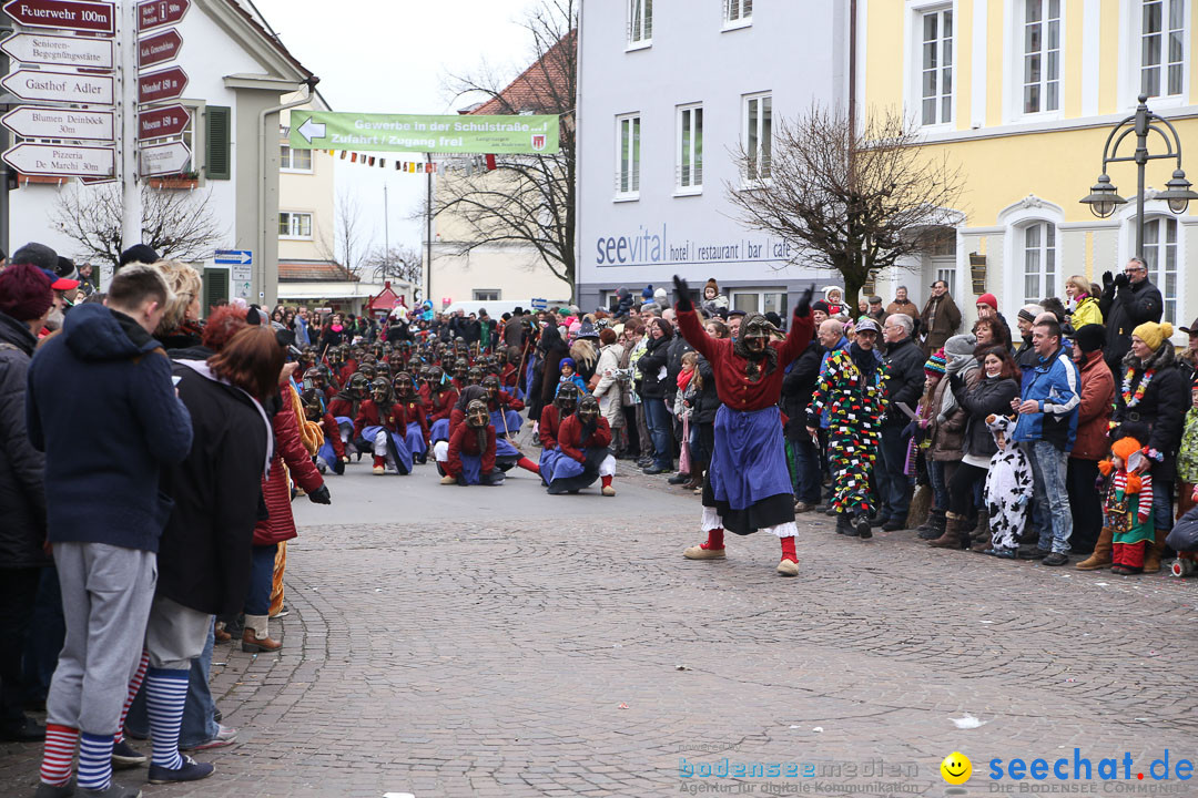 Narrensprung: Langenargen am Bodensee, 19.01.2014