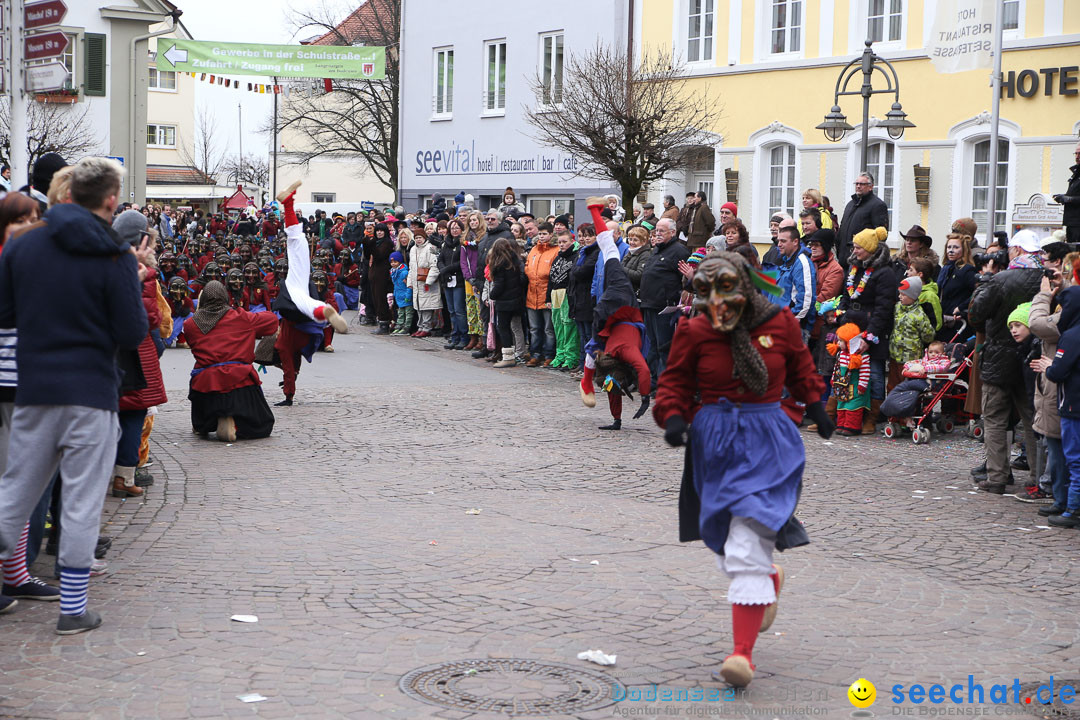 Narrensprung: Langenargen am Bodensee, 19.01.2014