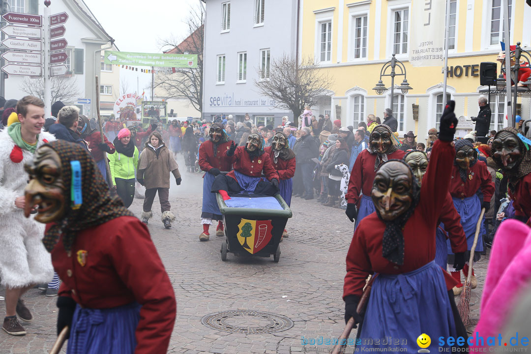 Narrensprung: Langenargen am Bodensee, 19.01.2014