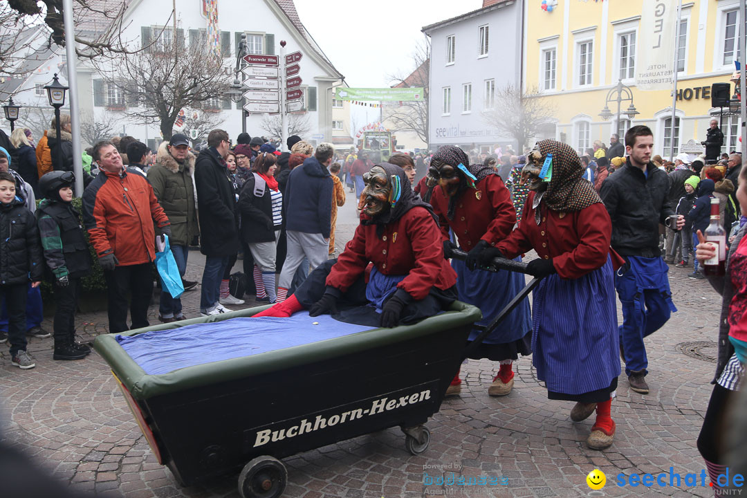 Narrensprung: Langenargen am Bodensee, 19.01.2014