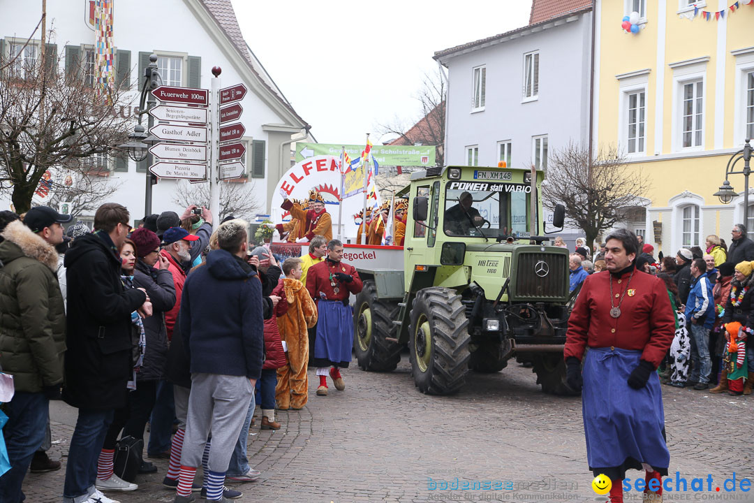 Narrensprung: Langenargen am Bodensee, 19.01.2014