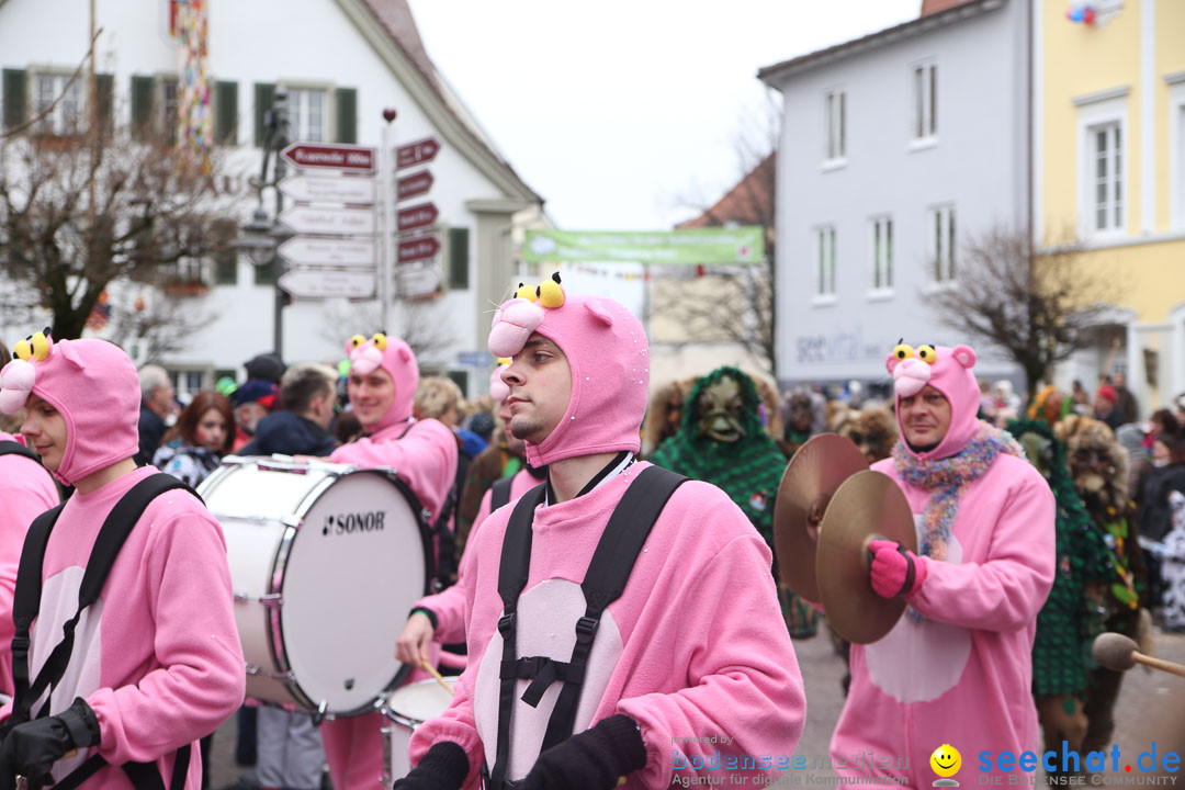 Narrensprung: Langenargen am Bodensee, 19.01.2014