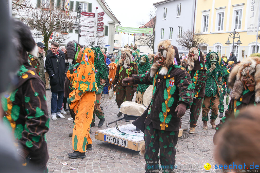 Narrensprung: Langenargen am Bodensee, 19.01.2014