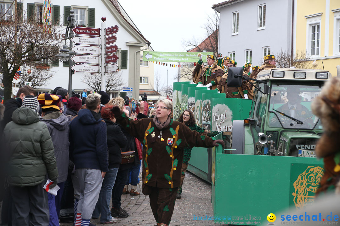 Narrensprung: Langenargen am Bodensee, 19.01.2014