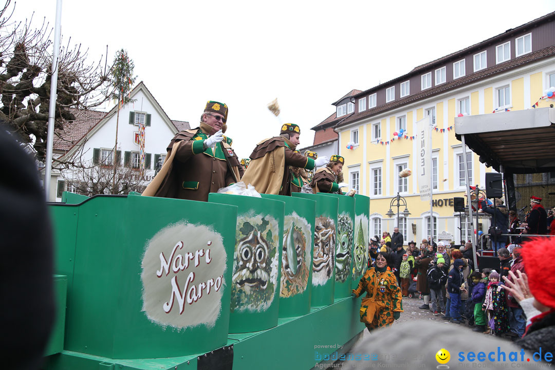 Narrensprung: Langenargen am Bodensee, 19.01.2014