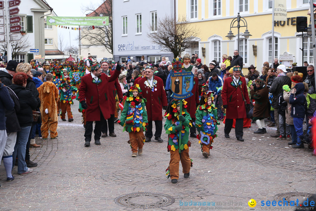 Narrensprung: Langenargen am Bodensee, 19.01.2014