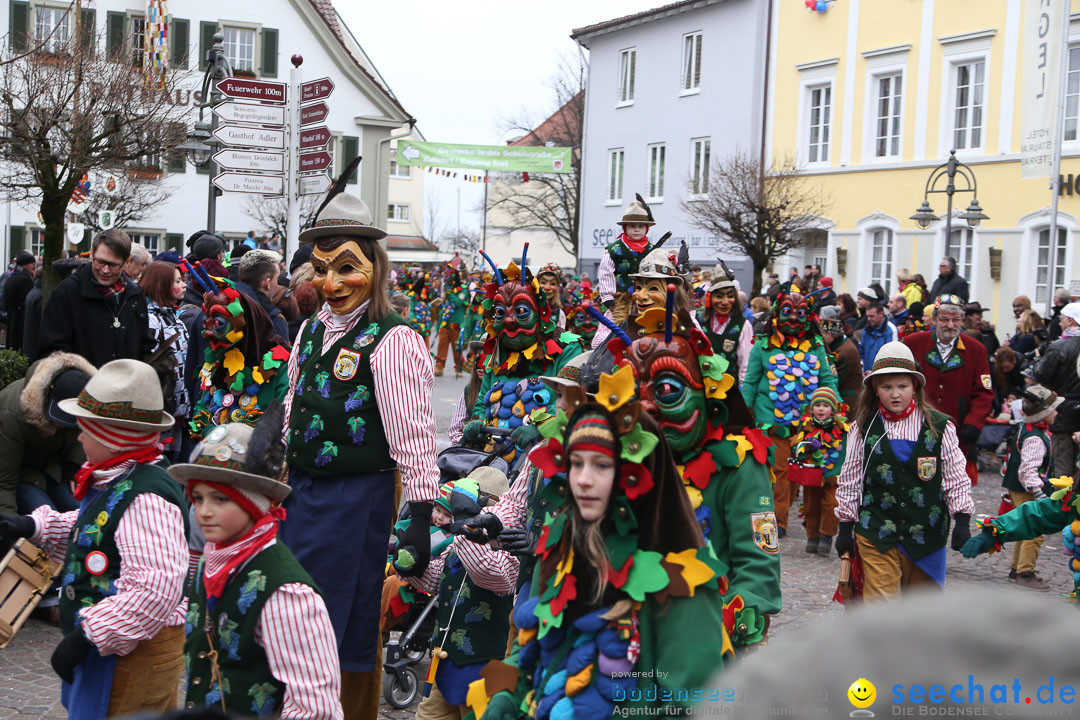 Narrensprung: Langenargen am Bodensee, 19.01.2014