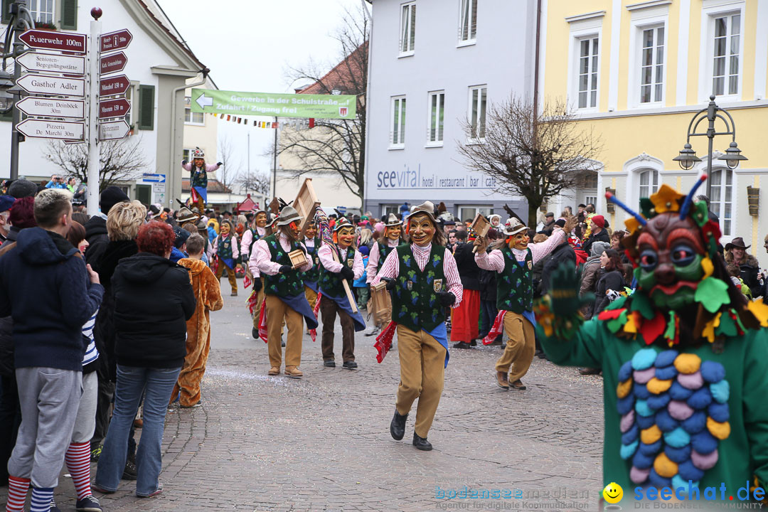 Narrensprung: Langenargen am Bodensee, 19.01.2014