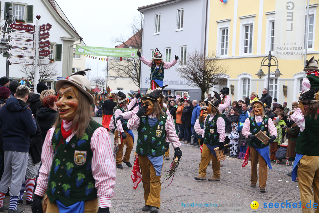 Narrensprung: Langenargen am Bodensee, 19.01.2014