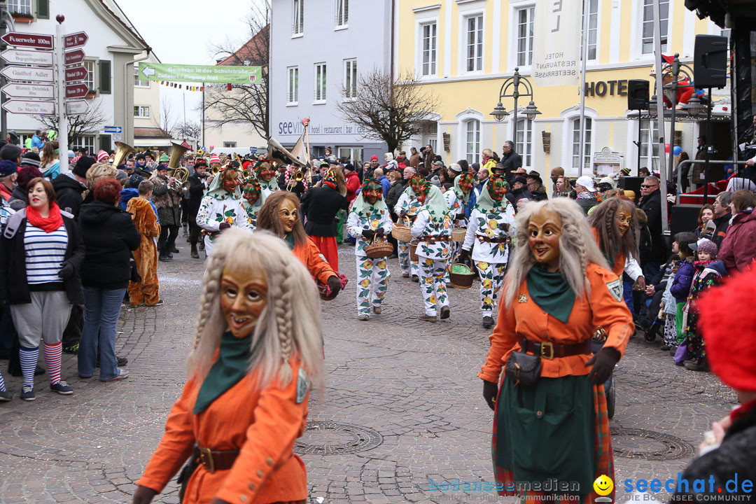 Narrensprung: Langenargen am Bodensee, 19.01.2014