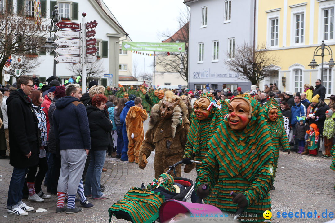 Narrensprung: Langenargen am Bodensee, 19.01.2014