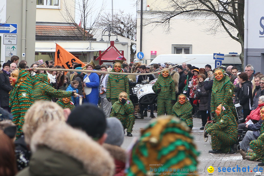 Narrensprung: Langenargen am Bodensee, 19.01.2014