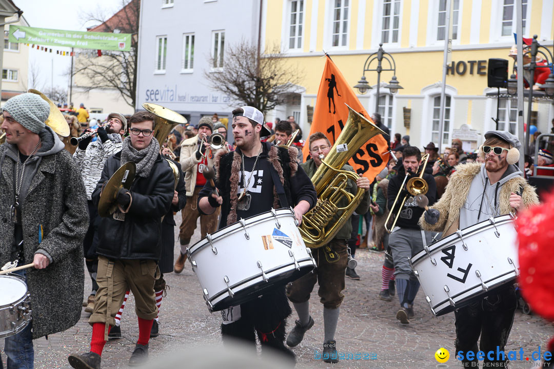 Narrensprung: Langenargen am Bodensee, 19.01.2014