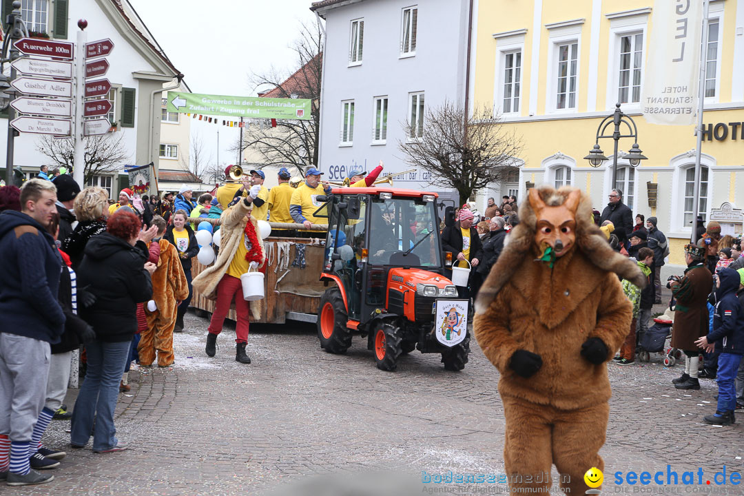 Narrensprung: Langenargen am Bodensee, 19.01.2014