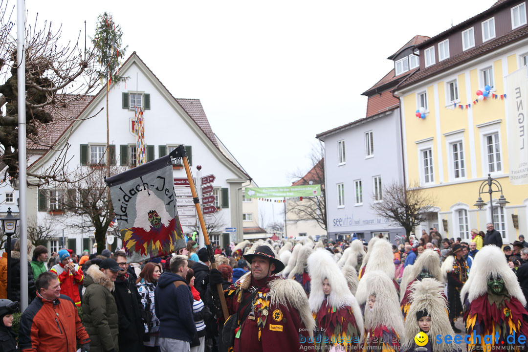 Narrensprung: Langenargen am Bodensee, 19.01.2014