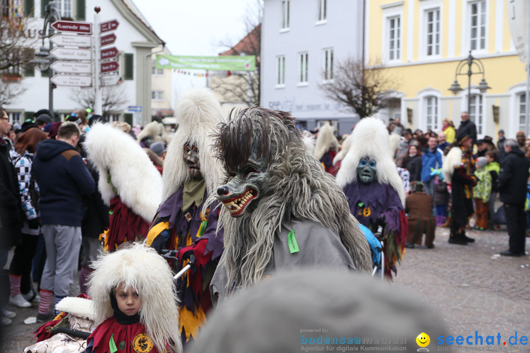 Narrensprung: Langenargen am Bodensee, 19.01.2014