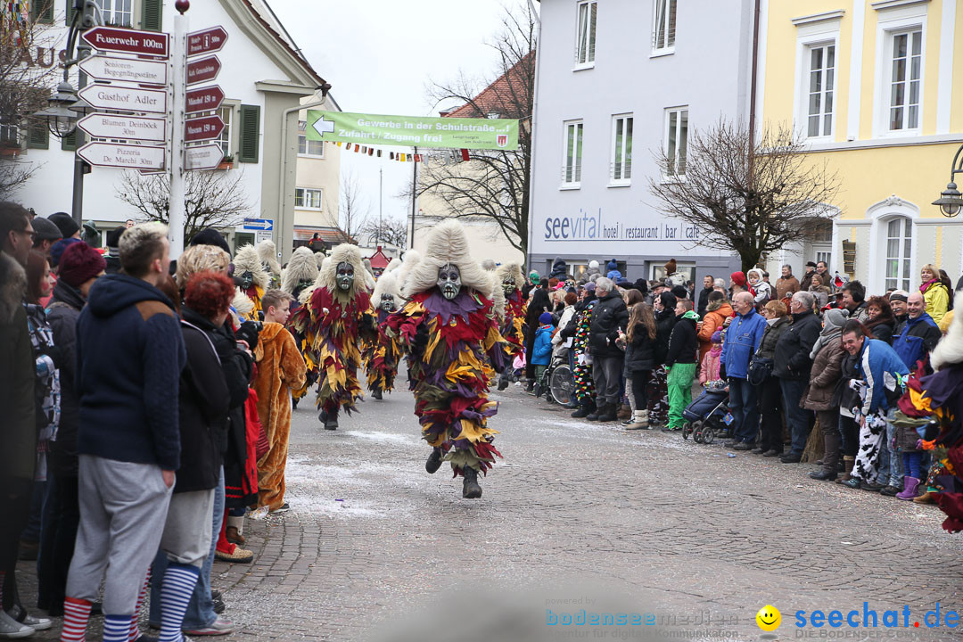 Narrensprung: Langenargen am Bodensee, 19.01.2014