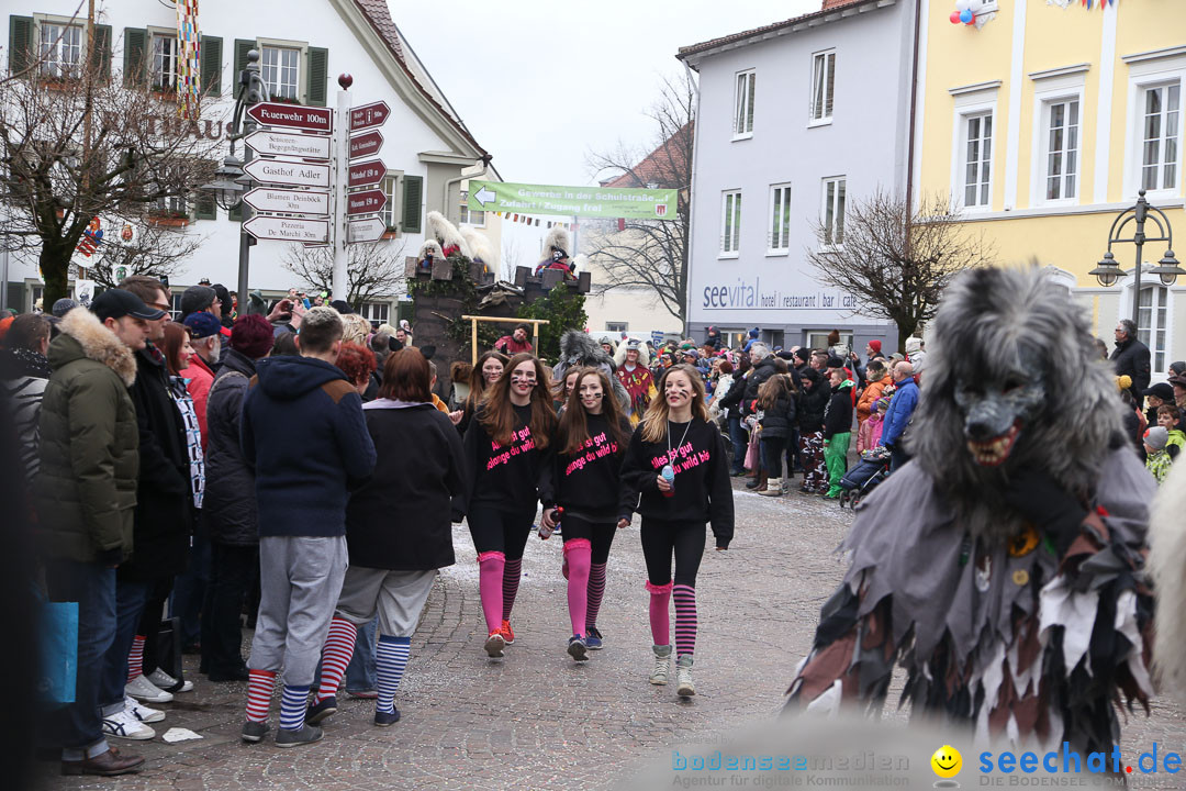 Narrensprung: Langenargen am Bodensee, 19.01.2014