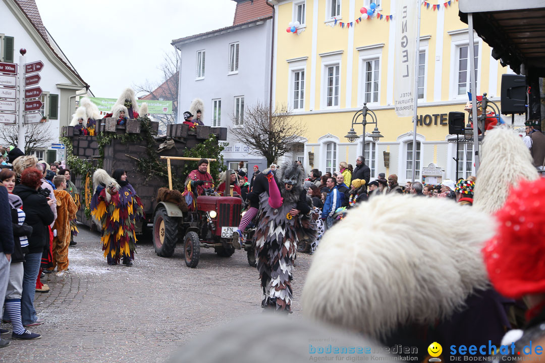 Narrensprung: Langenargen am Bodensee, 19.01.2014