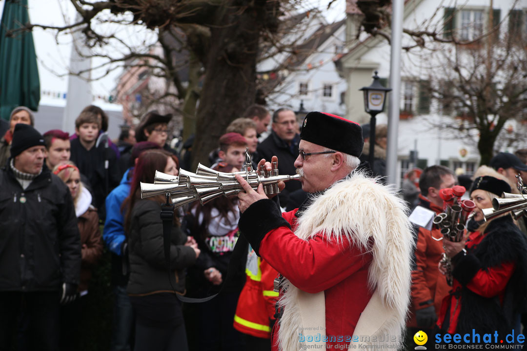 Narrensprung: Langenargen am Bodensee, 19.01.2014