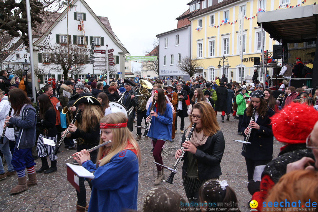 Narrensprung: Langenargen am Bodensee, 19.01.2014