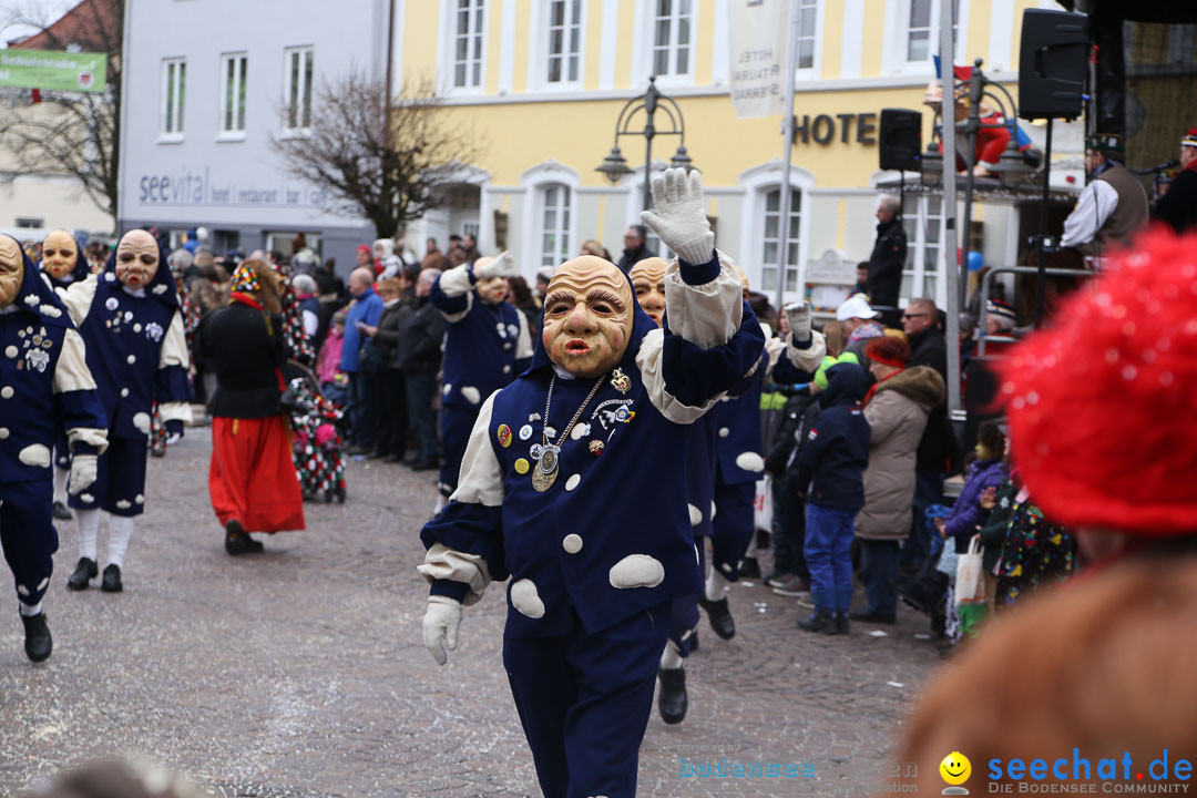 Narrensprung: Langenargen am Bodensee, 19.01.2014