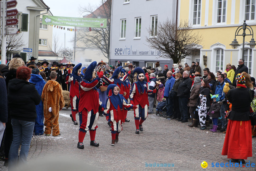 Narrensprung: Langenargen am Bodensee, 19.01.2014