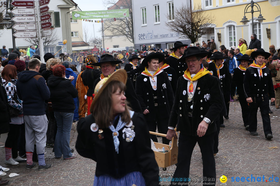 Narrensprung: Langenargen am Bodensee, 19.01.2014