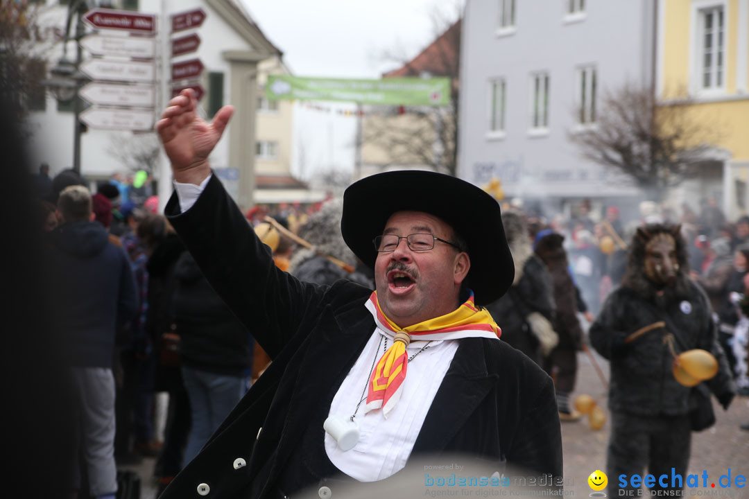 Narrensprung: Langenargen am Bodensee, 19.01.2014