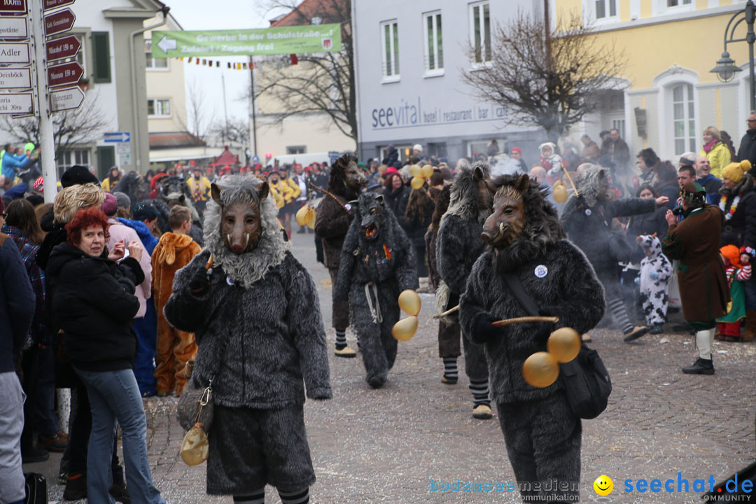 Narrensprung: Langenargen am Bodensee, 19.01.2014