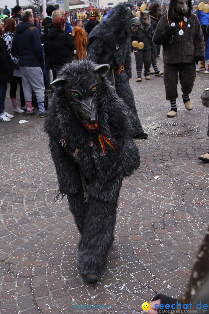 Narrensprung: Langenargen am Bodensee, 19.01.2014