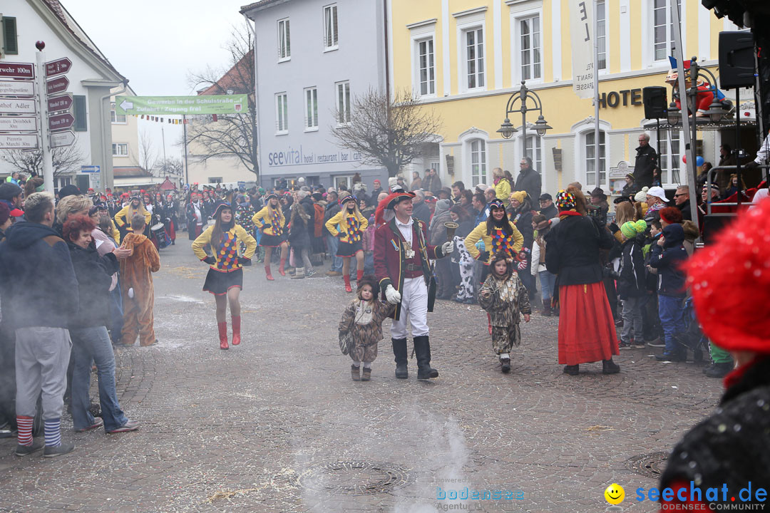 Narrensprung: Langenargen am Bodensee, 19.01.2014