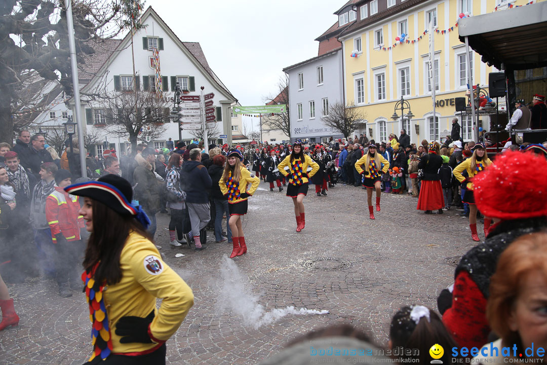 Narrensprung: Langenargen am Bodensee, 19.01.2014