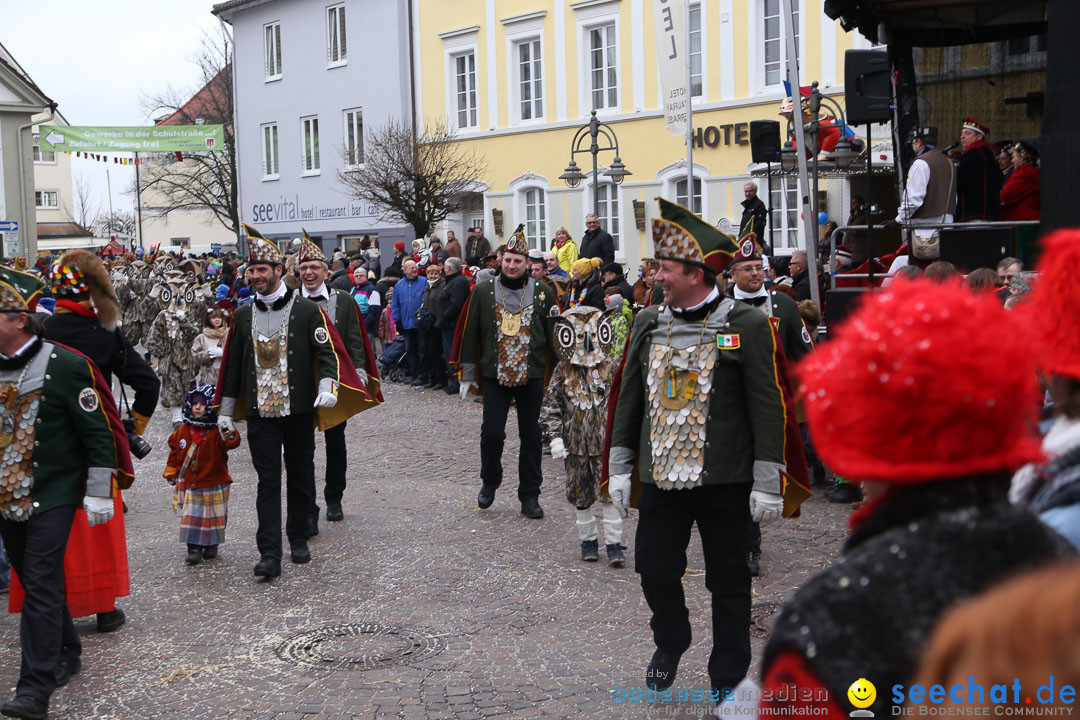 Narrensprung: Langenargen am Bodensee, 19.01.2014