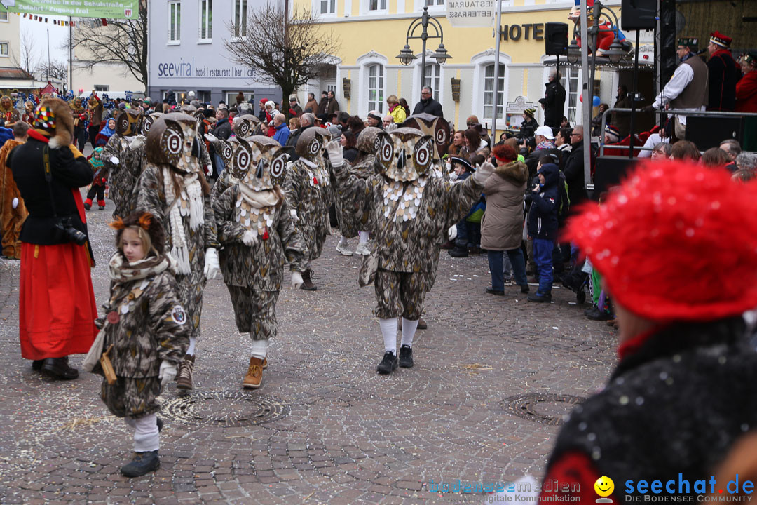 Narrensprung: Langenargen am Bodensee, 19.01.2014