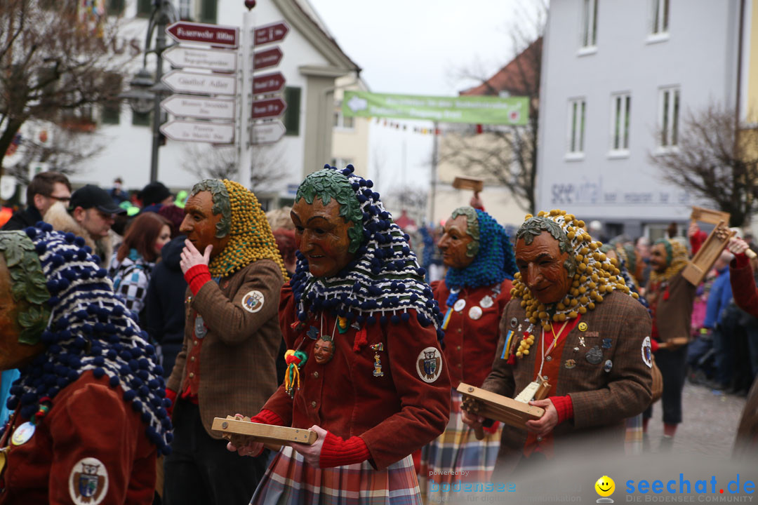 Narrensprung: Langenargen am Bodensee, 19.01.2014