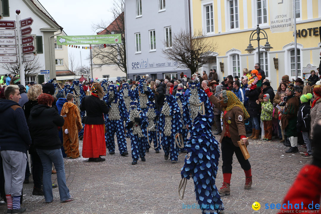 Narrensprung: Langenargen am Bodensee, 19.01.2014