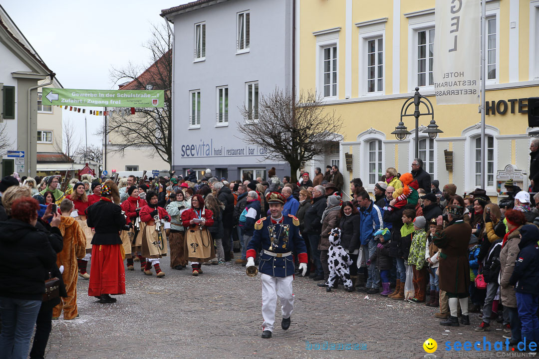 Narrensprung: Langenargen am Bodensee, 19.01.2014