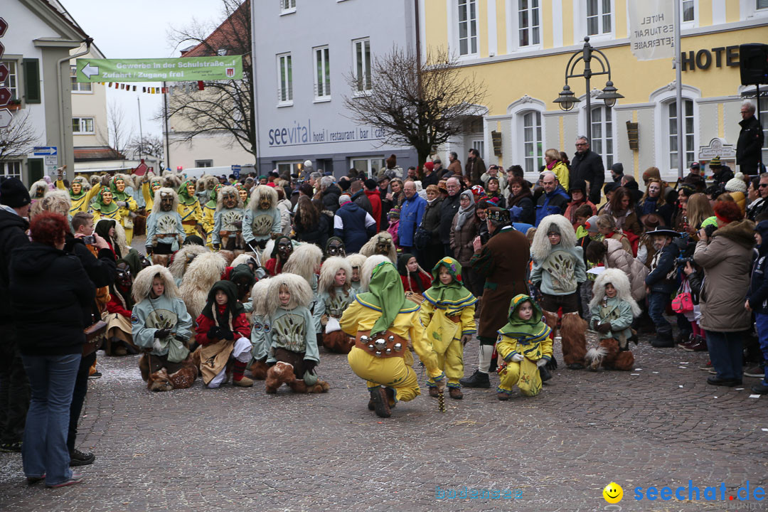 Narrensprung: Langenargen am Bodensee, 19.01.2014