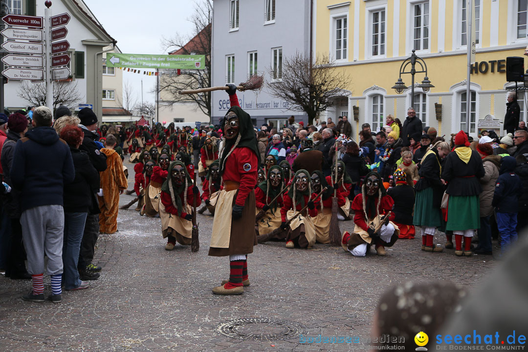 Narrensprung: Langenargen am Bodensee, 19.01.2014