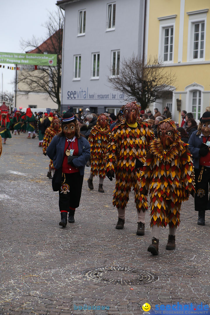 Narrensprung: Langenargen am Bodensee, 19.01.2014