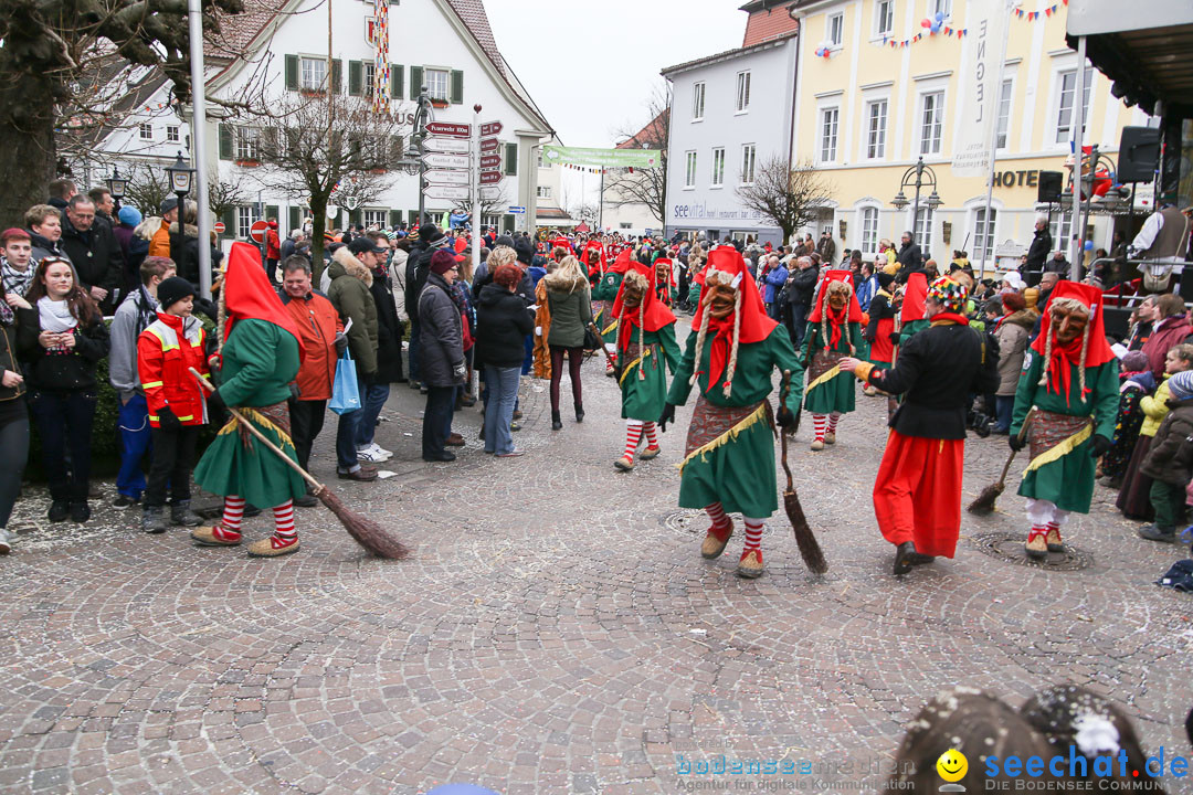 Narrensprung: Langenargen am Bodensee, 19.01.2014