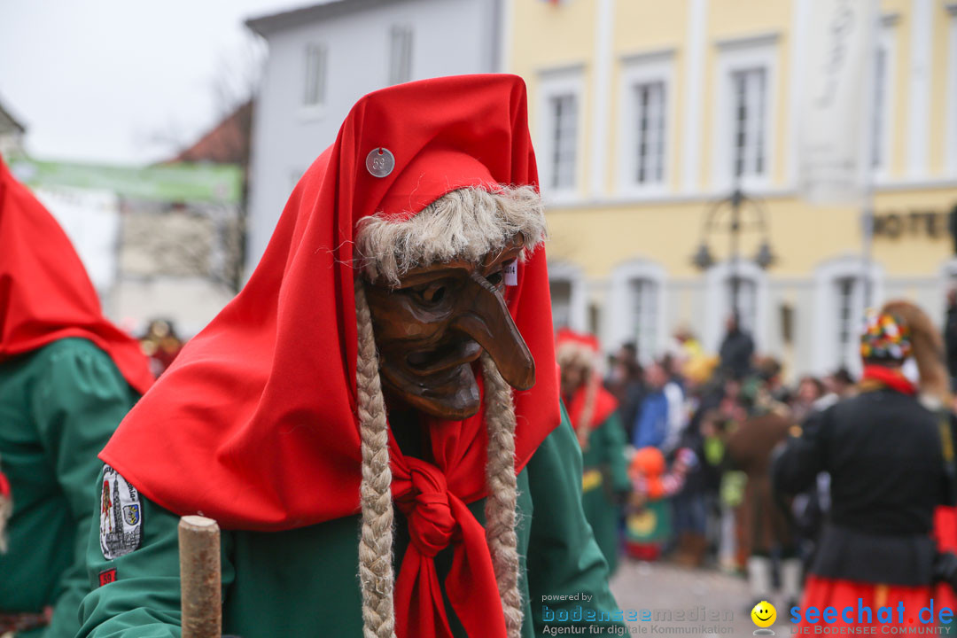 Narrensprung: Langenargen am Bodensee, 19.01.2014